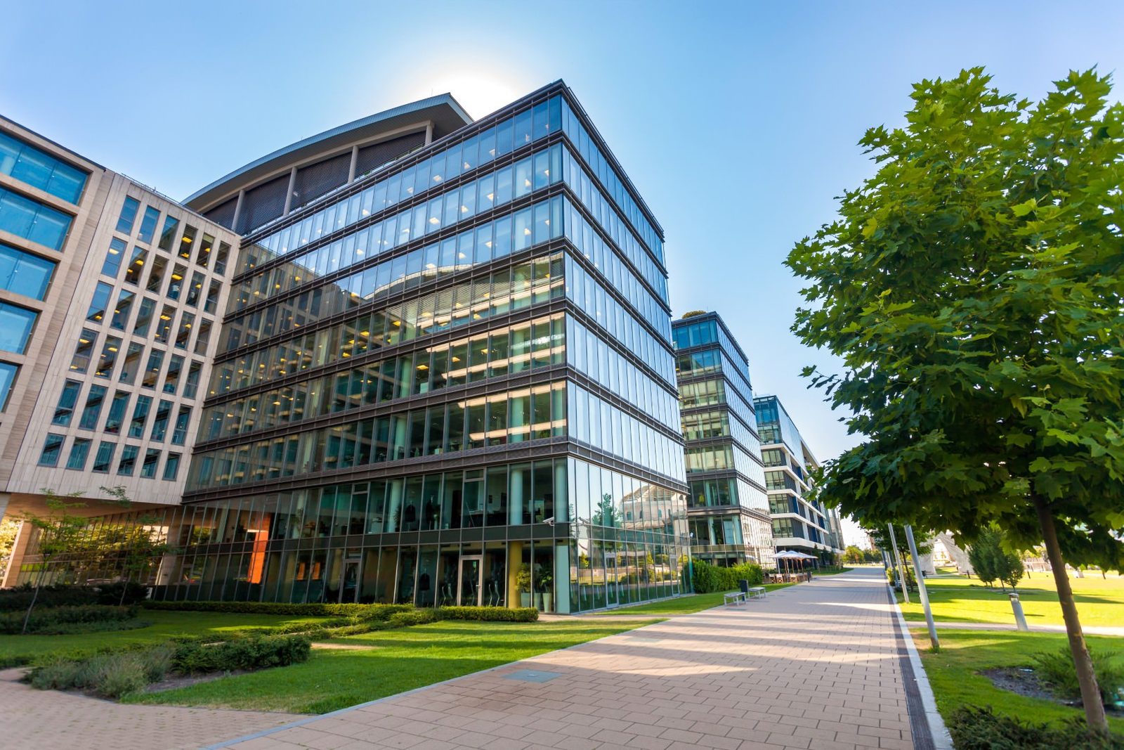 Modern glass office buildings along a tree-lined walkway